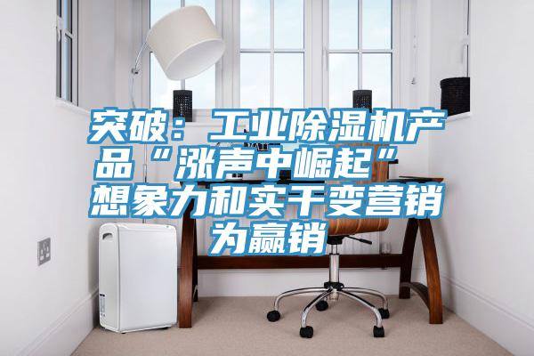 突破：工業蘑菇视频网站產品“漲聲中崛起” 想象力和實幹變營銷為贏銷
