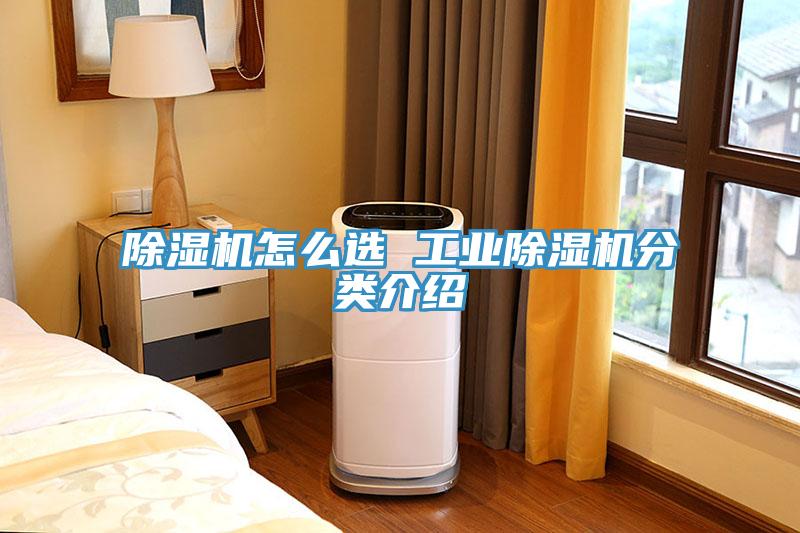 蘑菇视频网站怎麽選 工業蘑菇视频网站分類介紹