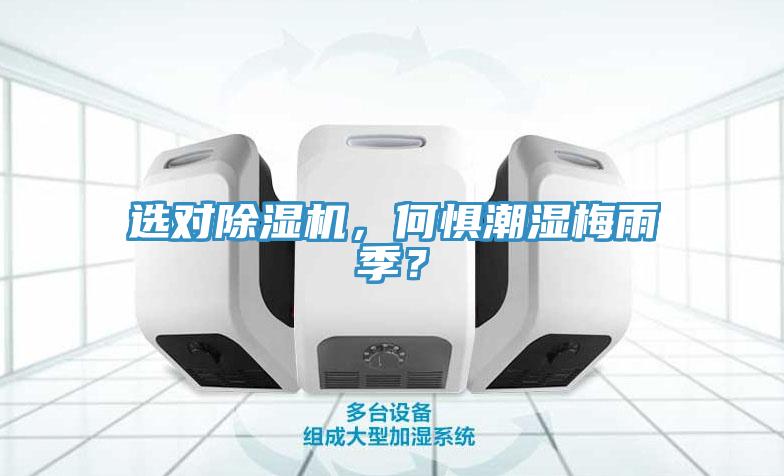 選對蘑菇视频网站，何懼潮濕梅雨季？