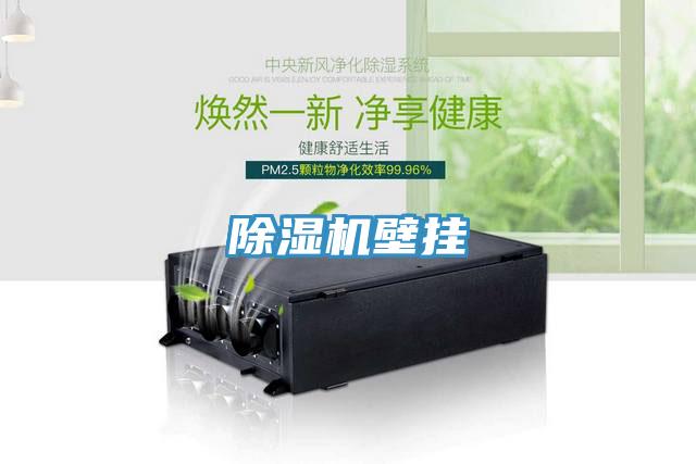 蘑菇视频网站壁掛
