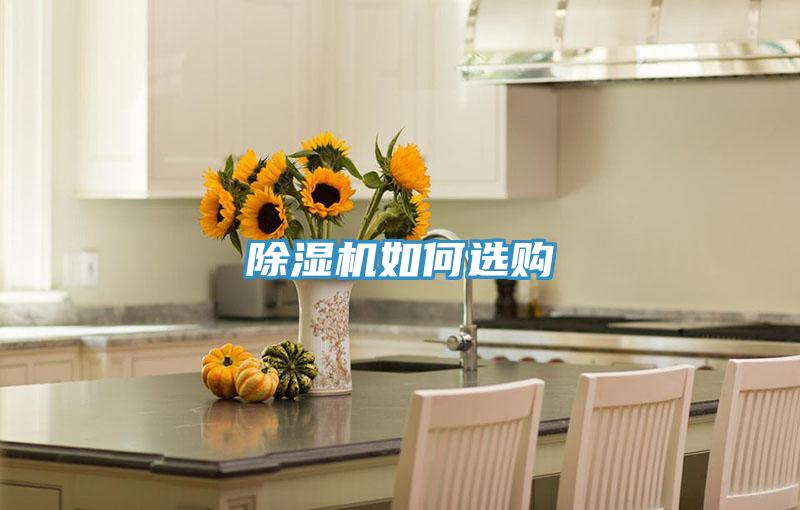 蘑菇视频网站如何選購