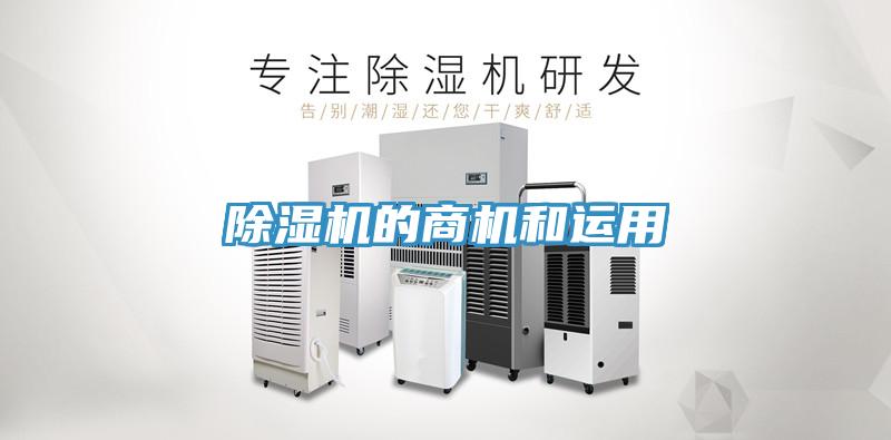 蘑菇视频网站的商機和運用