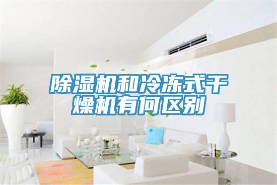 蘑菇视频网站和冷凍式幹燥機有何區別