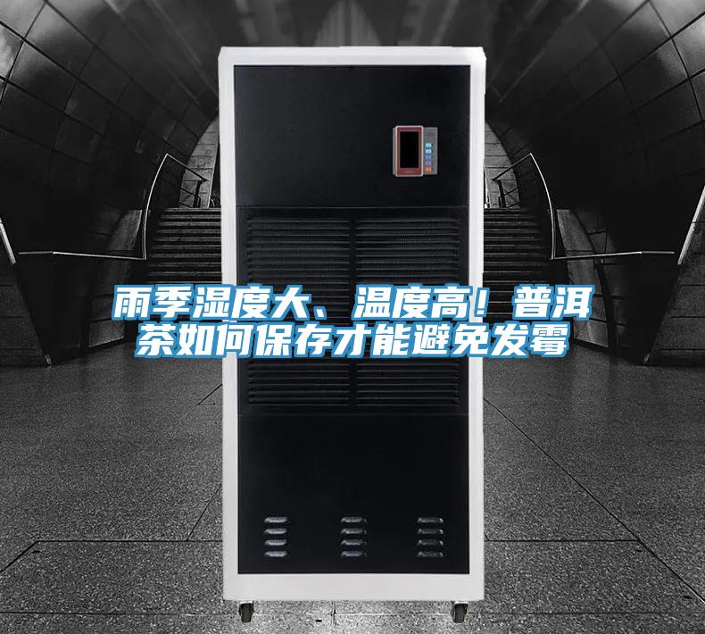 雨季濕度大、溫度高！普洱茶如何保存才能避免發黴