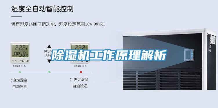 蘑菇视频网站工作原理解析