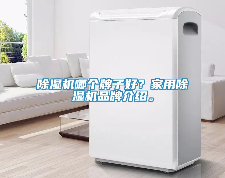 蘑菇视频网站哪個牌子好？家用蘑菇视频网站品牌介紹。