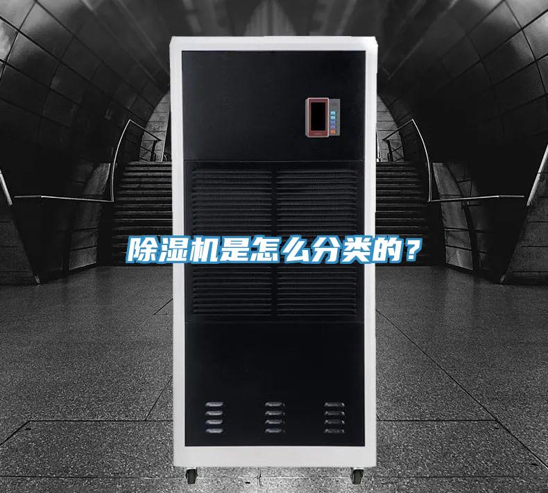 蘑菇视频网站是怎麽分類的？