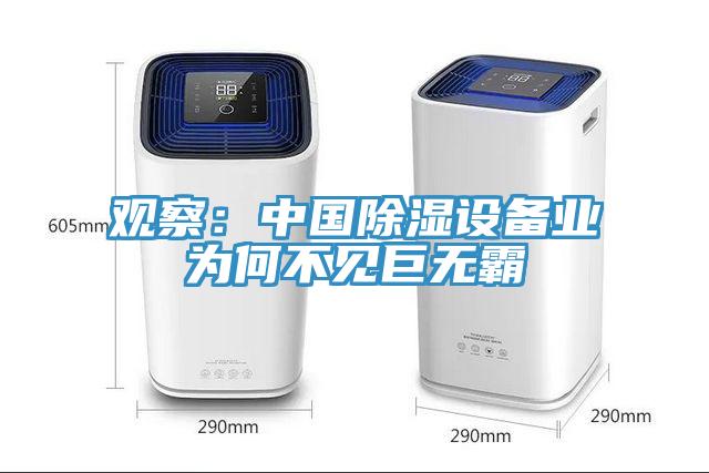 觀察：中國除濕設備業為何不見巨無霸