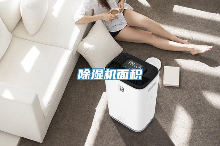 蘑菇视频网站麵積