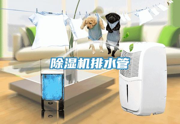 蘑菇视频网站排水管