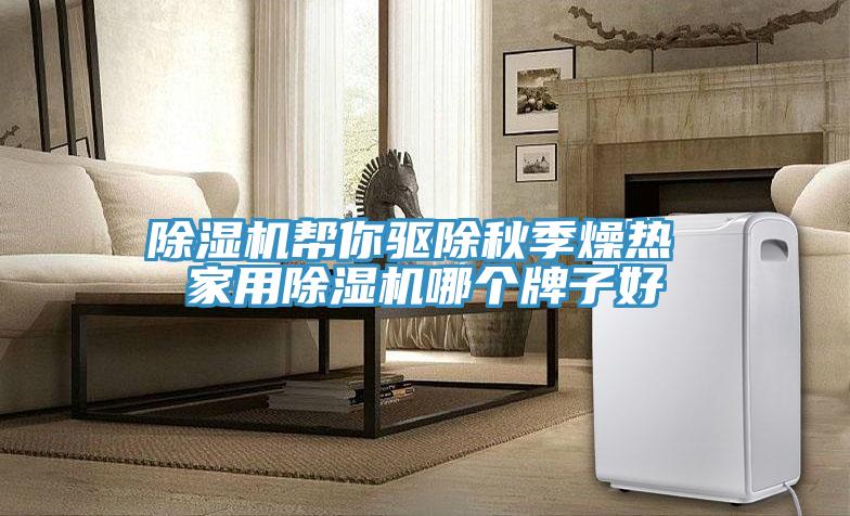 蘑菇视频网站幫你驅除秋季燥熱 家用蘑菇视频网站哪個牌子好