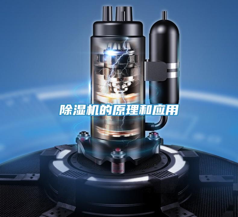 蘑菇视频网站的原理和應用