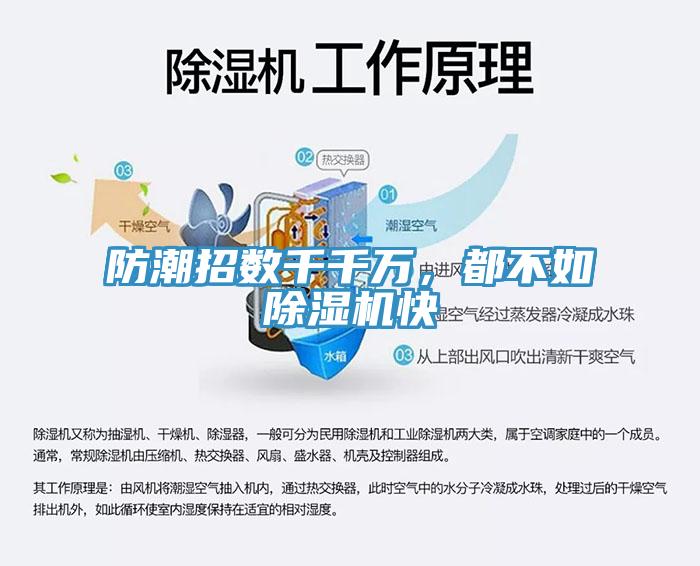 防潮招數千千萬，都不如蘑菇视频网站快