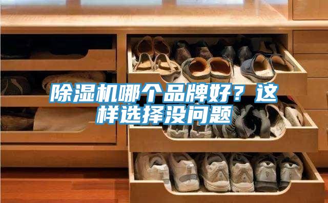 蘑菇视频网站哪個品牌好？這樣選擇沒問題