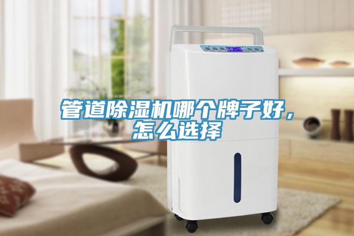 管道蘑菇视频网站哪個牌子好，怎麽選擇