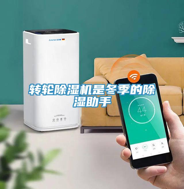 轉輪蘑菇视频网站是冬季的除濕助手