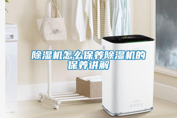 蘑菇视频网站怎麽保養蘑菇视频网站的保養講解