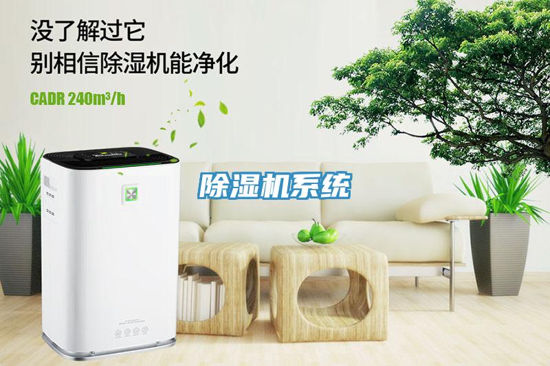蘑菇视频网站係統
