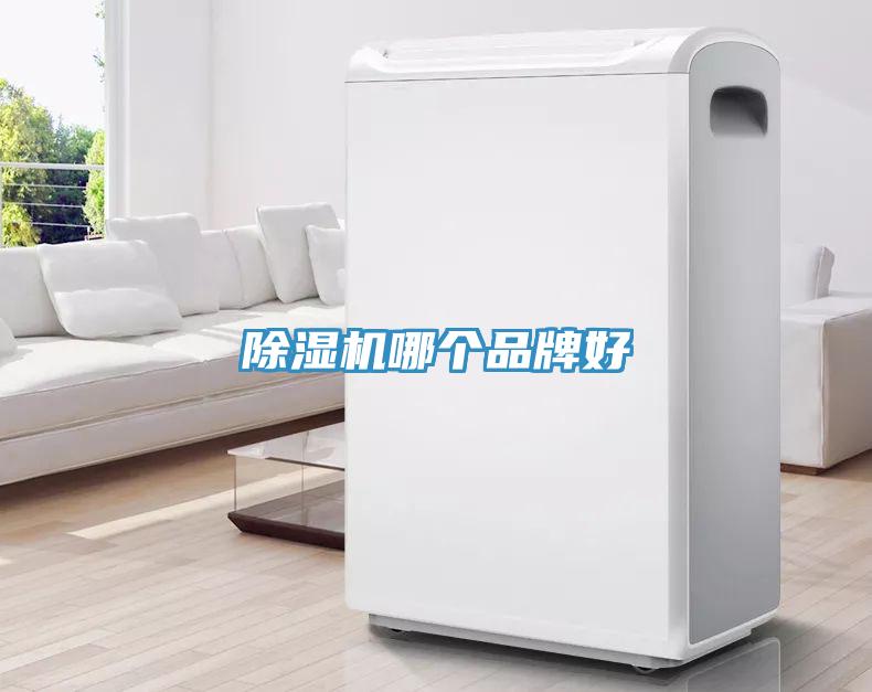 蘑菇视频网站哪個品牌好