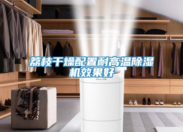 荔枝幹燥配置耐高溫蘑菇视频网站效果好