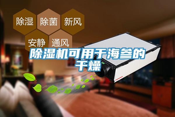 蘑菇视频网站可用於海參的幹燥