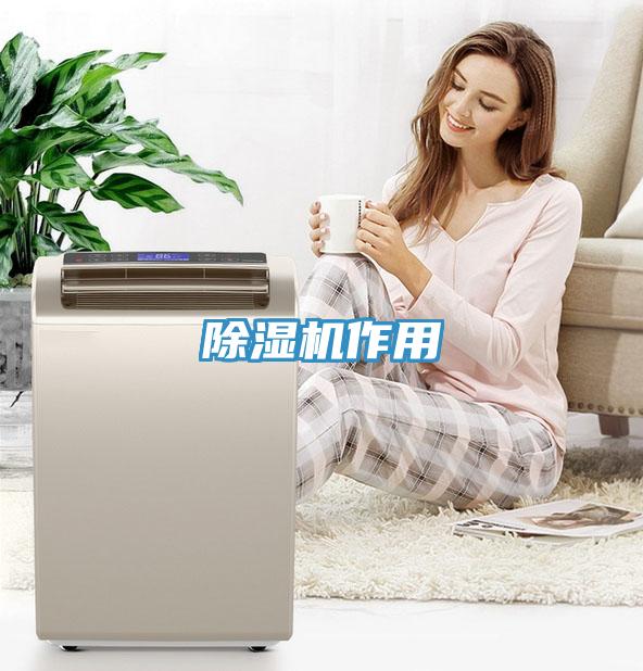 蘑菇视频网站作用