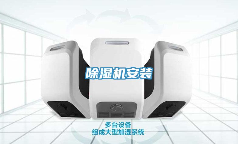 蘑菇视频网站安裝