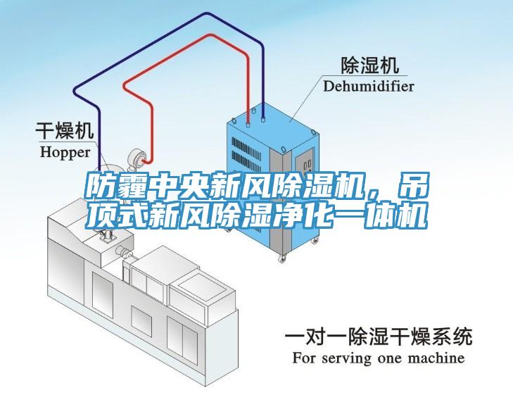 防霾中央新風蘑菇视频网站，吊頂式新風除濕淨化一體機