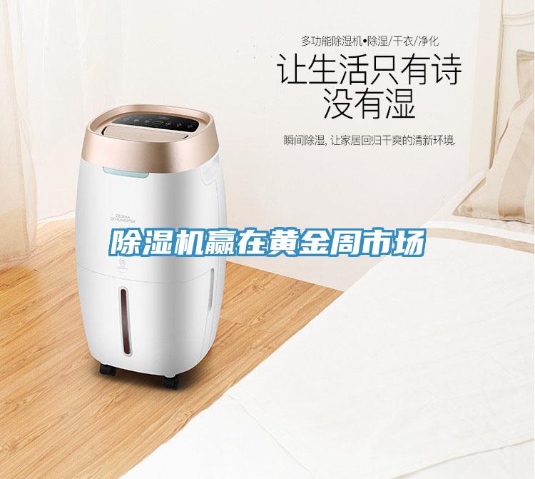 蘑菇视频网站贏在黃金周市場