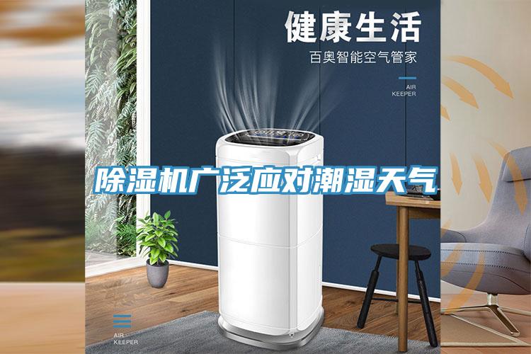 蘑菇视频网站廣泛應對潮濕天氣