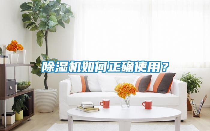 蘑菇视频网站如何正確使用？