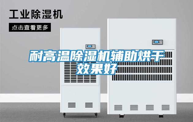 耐高溫蘑菇视频网站輔助烘幹效果好