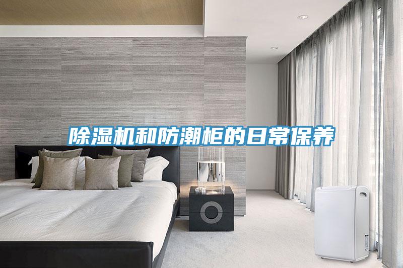 蘑菇视频网站和防潮櫃的日常保養