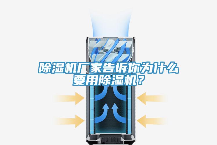 蘑菇视频网站廠家告訴你為什麽要用蘑菇视频网站？