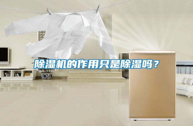 蘑菇视频网站的作用隻是除濕嗎？