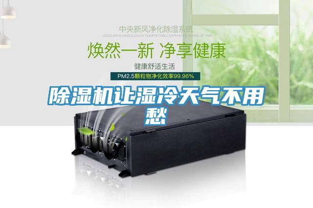 蘑菇视频网站讓濕冷天氣不用愁