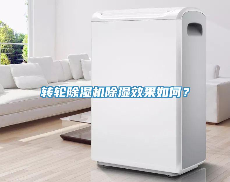 轉輪蘑菇视频网站除濕效果如何？