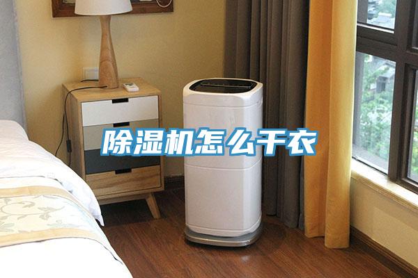蘑菇视频网站怎麽幹衣