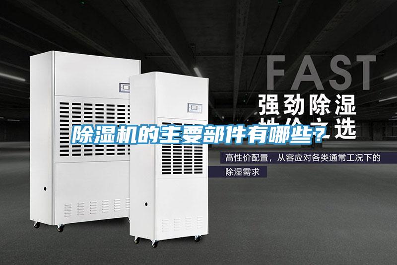 蘑菇视频网站的主要部件有哪些？