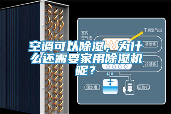 空調可以除濕，為什麽還需要家用蘑菇视频网站呢？