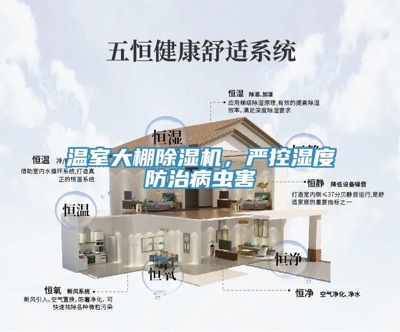溫室大棚蘑菇视频网站，嚴控濕度防治病蟲害
