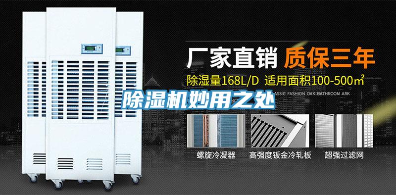 蘑菇视频网站妙用之處