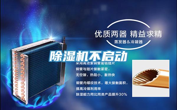 蘑菇视频网站不啟動