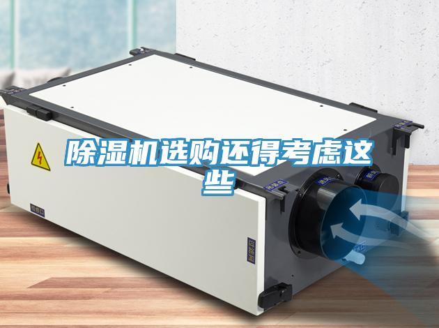 蘑菇视频网站選購還得考慮這些