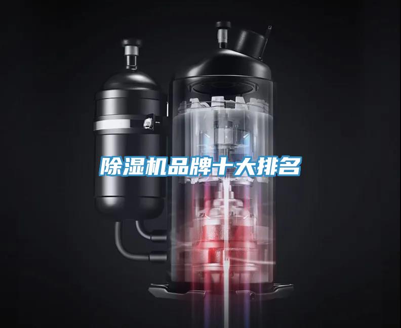 蘑菇视频网站品牌十大排名