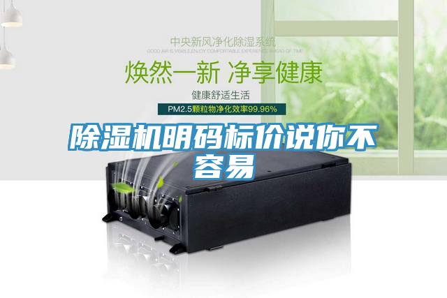 蘑菇视频网站明碼標價說你不容易