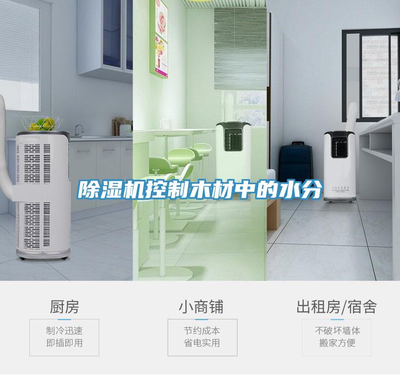 蘑菇视频网站控製木材中的水分