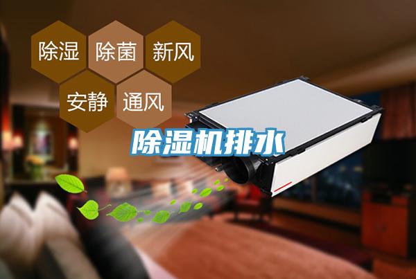 蘑菇视频网站排水