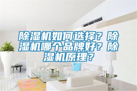 蘑菇视频网站如何選擇？蘑菇视频网站哪個品牌好？蘑菇视频网站原理？