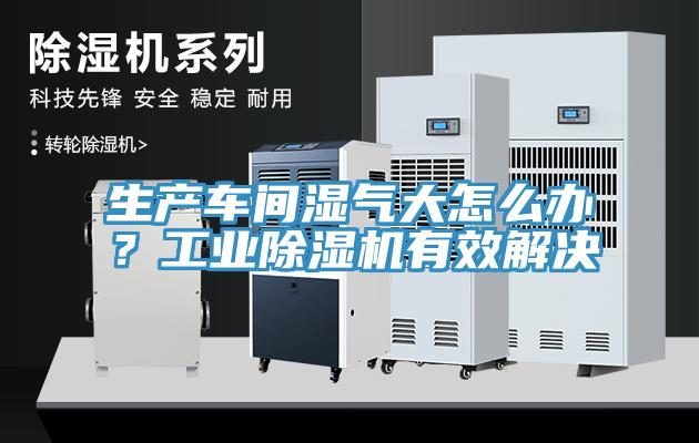生產車間濕氣大怎麽辦？工業蘑菇视频网站有效解決
